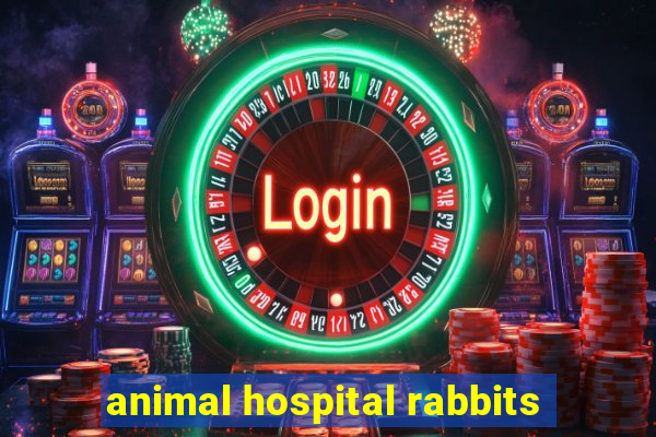 animal hospital rabbits